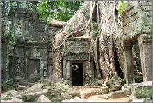 Ta Prohm Temple